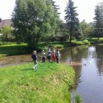 20150602_110528