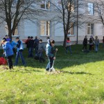 IMG_3010