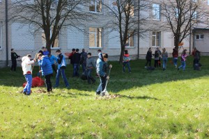 IMG_3010
