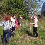 Talka 05-17_2
